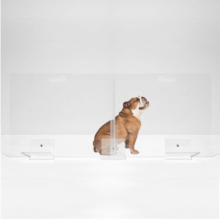 Hiddin Clear Acrylic Panel Pet Gate – Freestanding, 30 in High