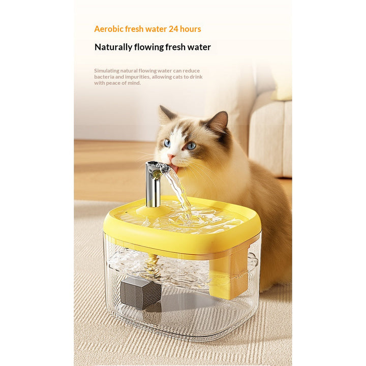 Cat drinking from yellow-trim fountain