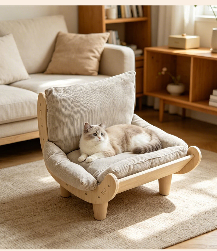 Cat relaxing in low wooden pet chair