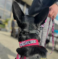 Gallery viewerに画像を読み込む, Very Demure Morale Patch 4.6 Inch Embroidered Hook Fastener Vest Gear by kiloninerpets
