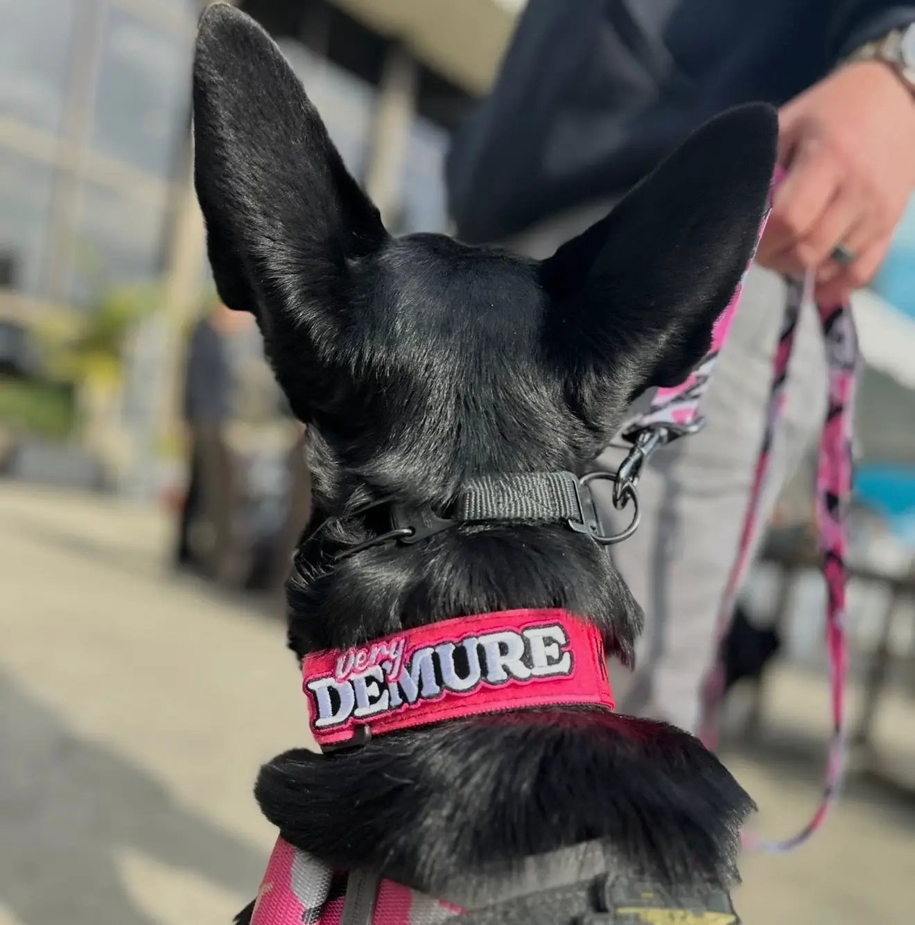 Very Demure Morale Patch 4.6 Inch Embroidered Hook Fastener Vest Gear by kiloninerpets