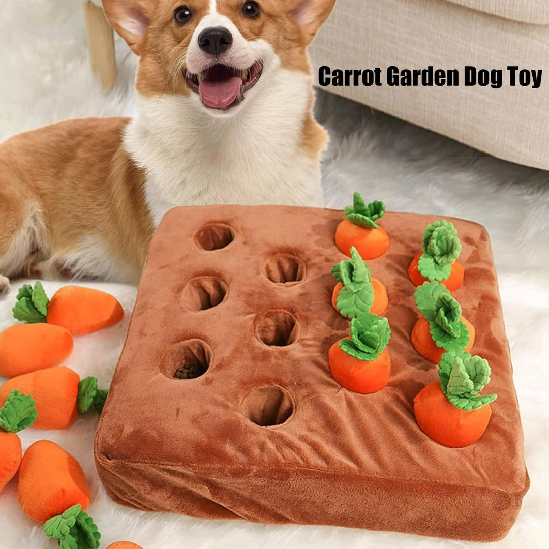 Dog beside garden with carrots removed