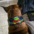 Load image into Gallery viewer, The Grinchmas Limited Collar - Pet Collars & Harnesses from Bestia Dog Gear
