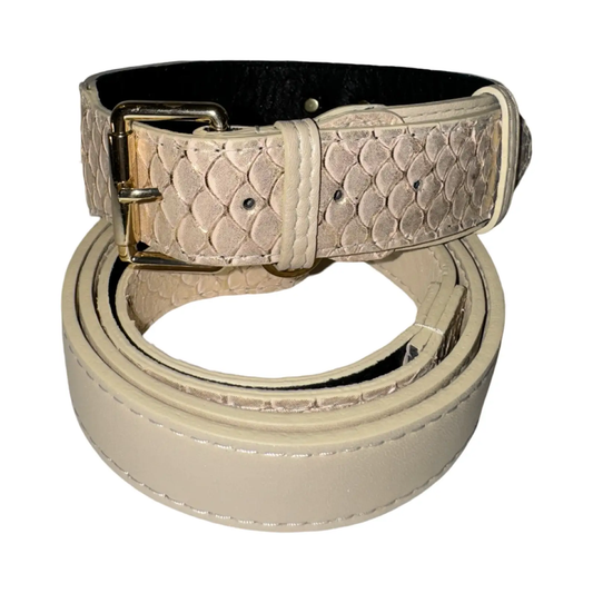 Hollywood Glam Classic Collar by Allysa Payne Beverly Hills, beige faux snakeskin dog collar with gold buckle.