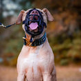 Bild in Galerie-Betrachter laden, Bestia Dog Sport GripPro Print Collar - Gold - Pet Collars & Harnesses from Bestia Dog Sport
