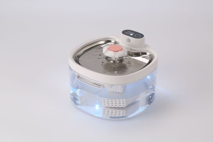 Clear fountain with white and pink flower outlet
