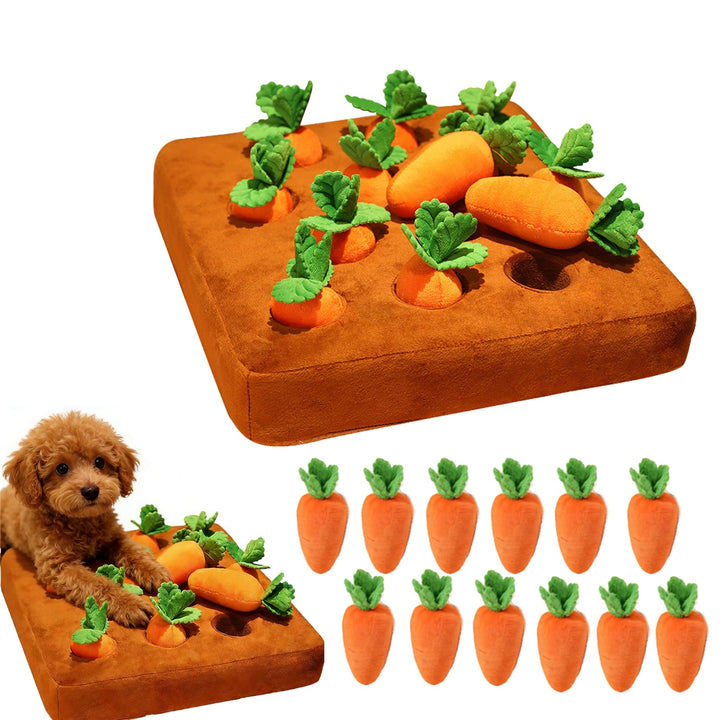 Carrot garden base with twelve plush carrots