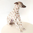 Load image into Gallery viewer, Whippet and Greyhound Dinosaur Cotton Pajamas for dogs by SOCKPET, light gray with dinosaur print
