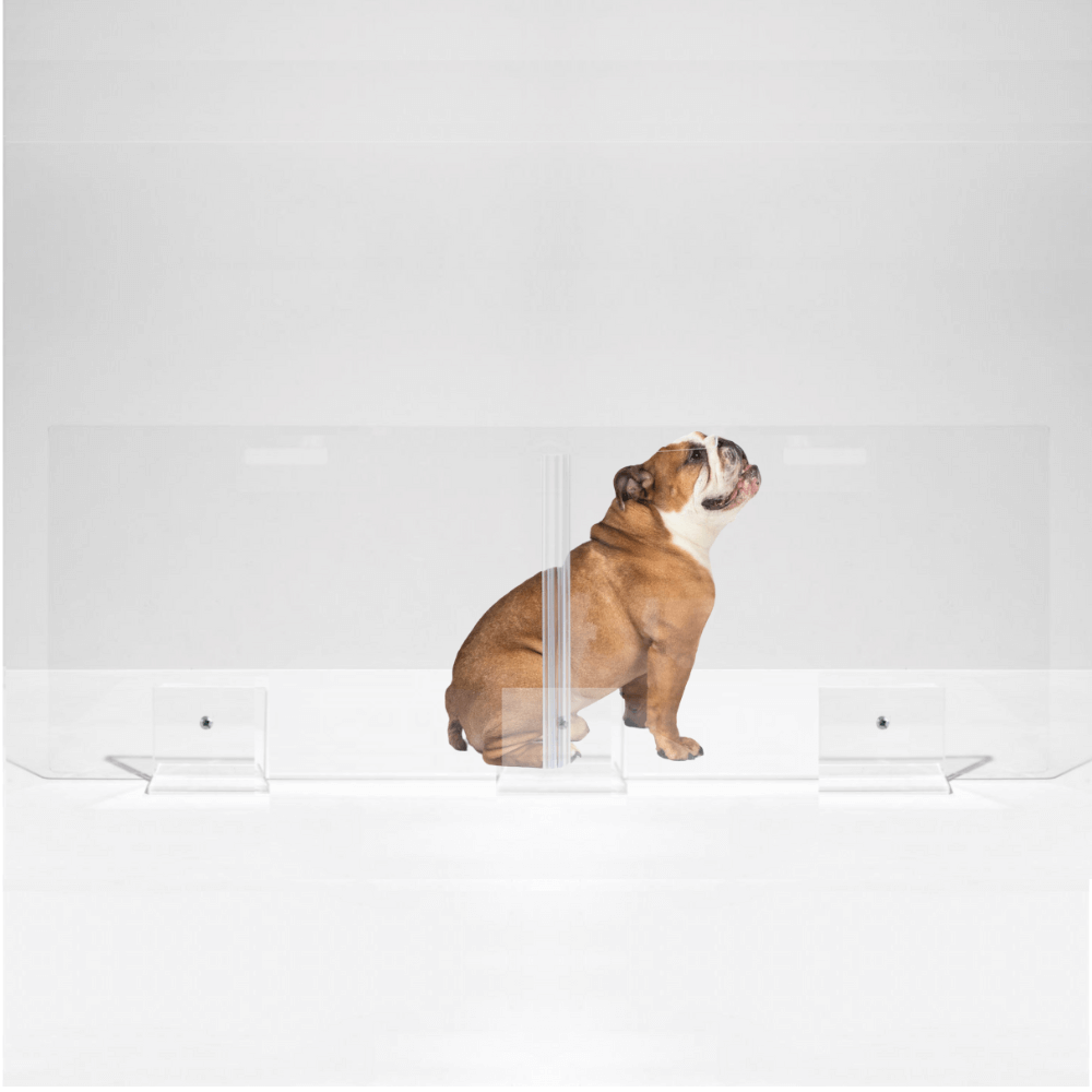 Hiddin Clear Acrylic Panel Pet Gate – Freestanding, 24 in High