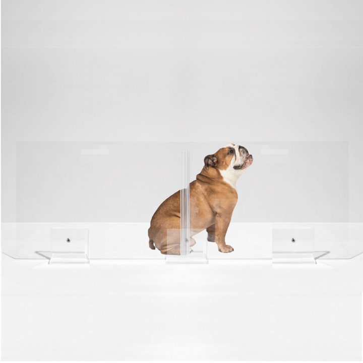 Hiddin Clear Acrylic Panel Pet Gate – Freestanding, 24 in High