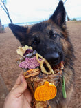 Load image into Gallery viewer, Chicken Frames (Chunked) dog treats by Naked Beasts; bone chew with orange pumpkin tag

