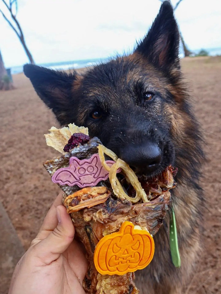 Chicken Frames (Chunked) dog treats by Naked Beasts; bone chew with orange pumpkin tag