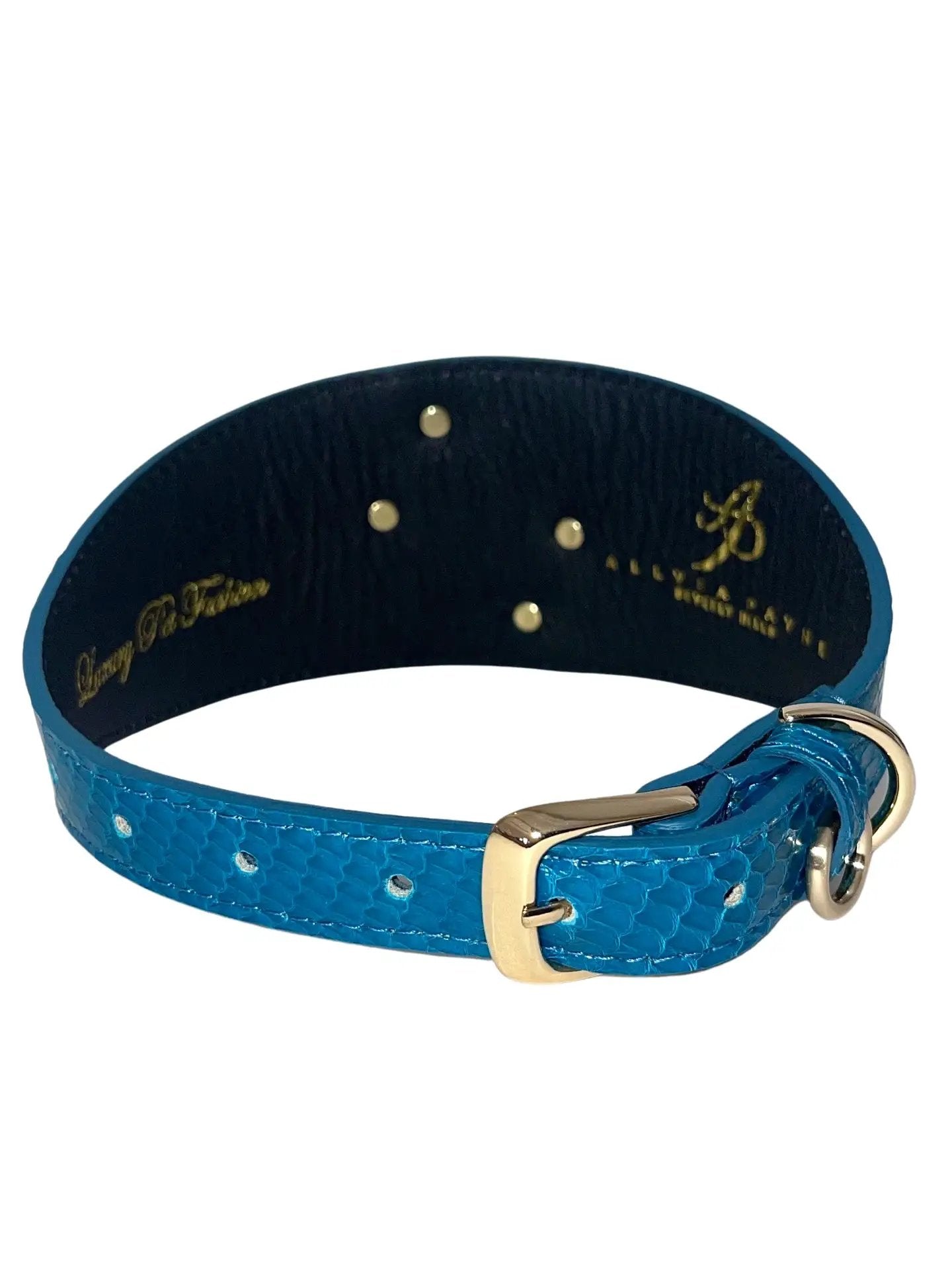 Dark turquoise 3 inch wide snake-embossed dog collar with gold buckle