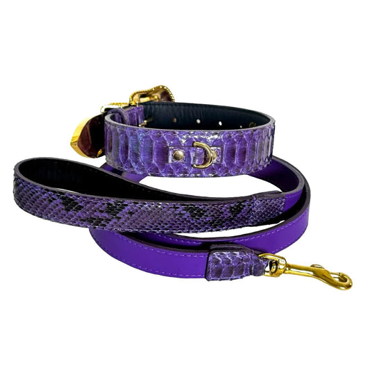 Amethyst Royale Python Set purple snakeskin dog collars with gold hardware and matching leash