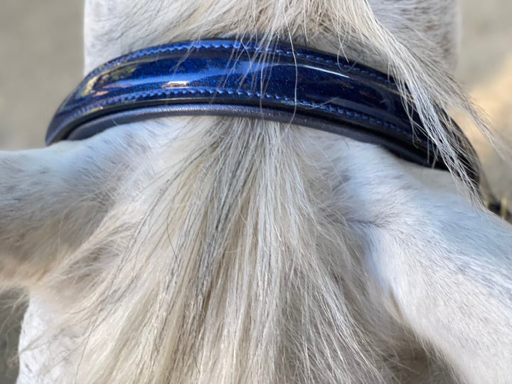Halter Ego Revolution Cobalt Blue Patent Leather Horse Halter, close-up of the noseband and padding