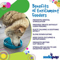 Load image into Gallery viewer, Baja Design eTray - Shallow Slow Feeder Dog Bowl for Enrichment | USA Made
