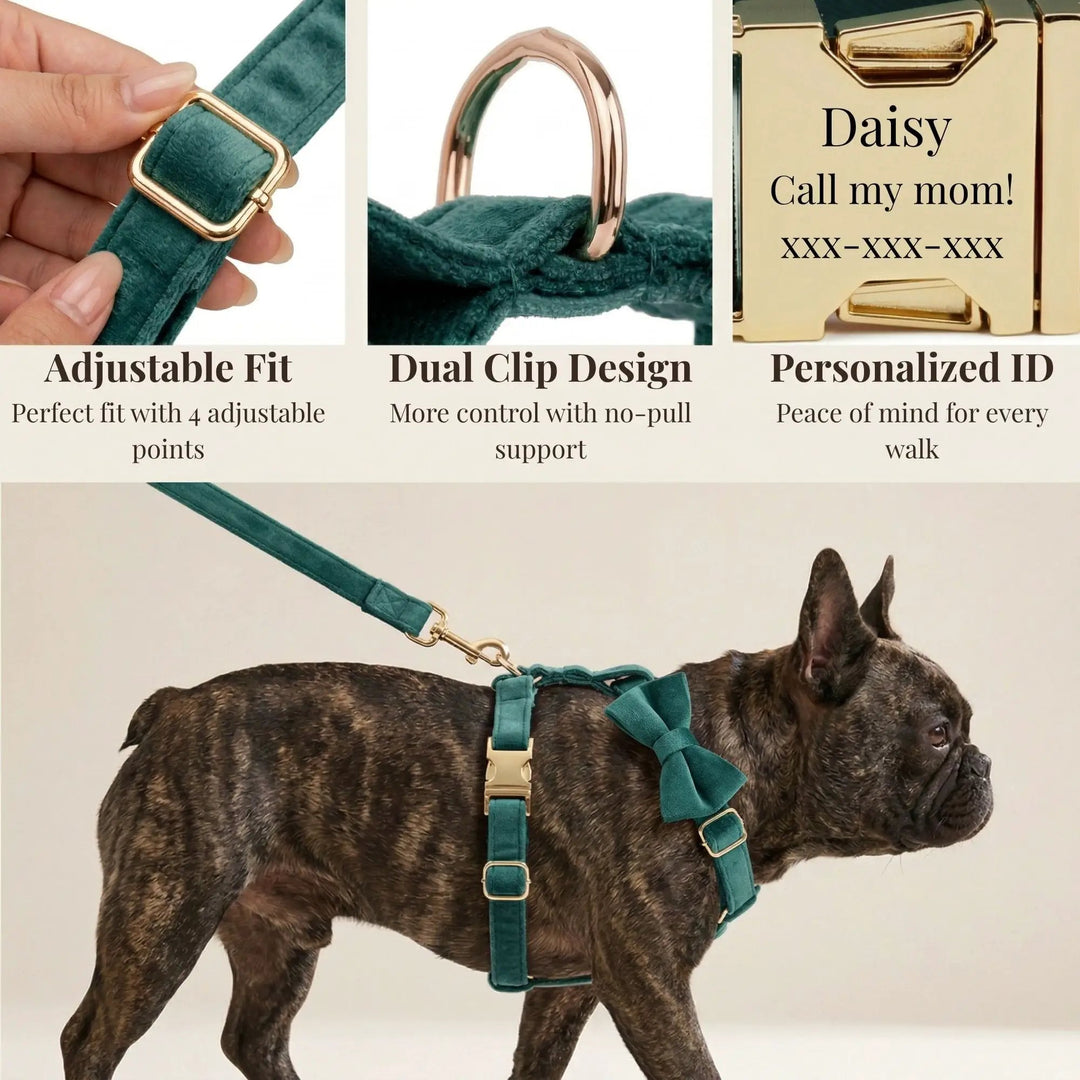 PawLuxe Green Velvet Set Custom No Pull Harness Medium And Large by DDPaws