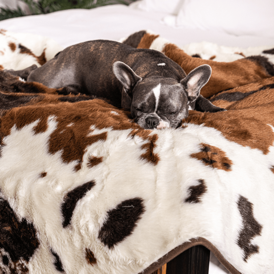 Paw.com PupProtector Waterproof Throw Blanket, Brown Faux Cowhide