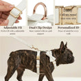 Gallery viewerに画像を読み込む, Classic Elegance White Premium Leather Dog Walking Collar Leash Set by DDPaws

