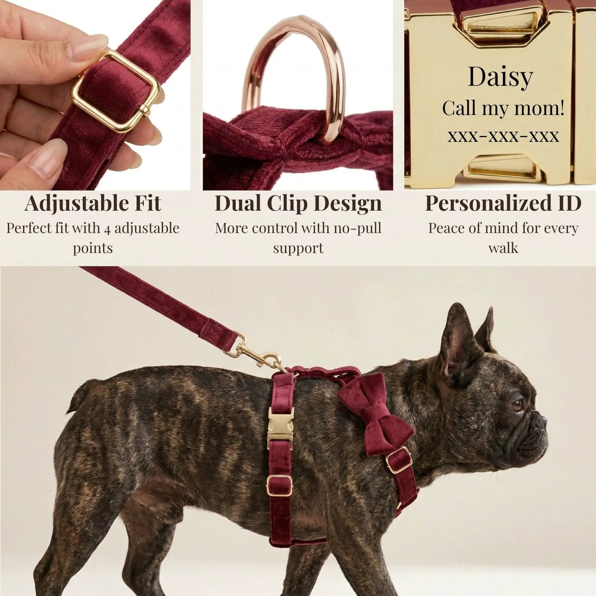 Red Wine Velvet Dog Harness Collar Leash Set Elegant Walking Wear by DDPaws