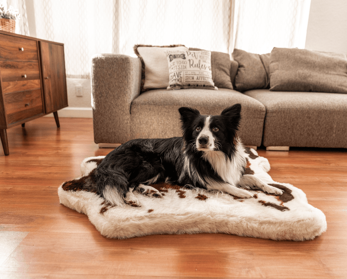 PupRug Animal Print Memory Foam Dog Bed by Paw.com in brown faux cowhide.