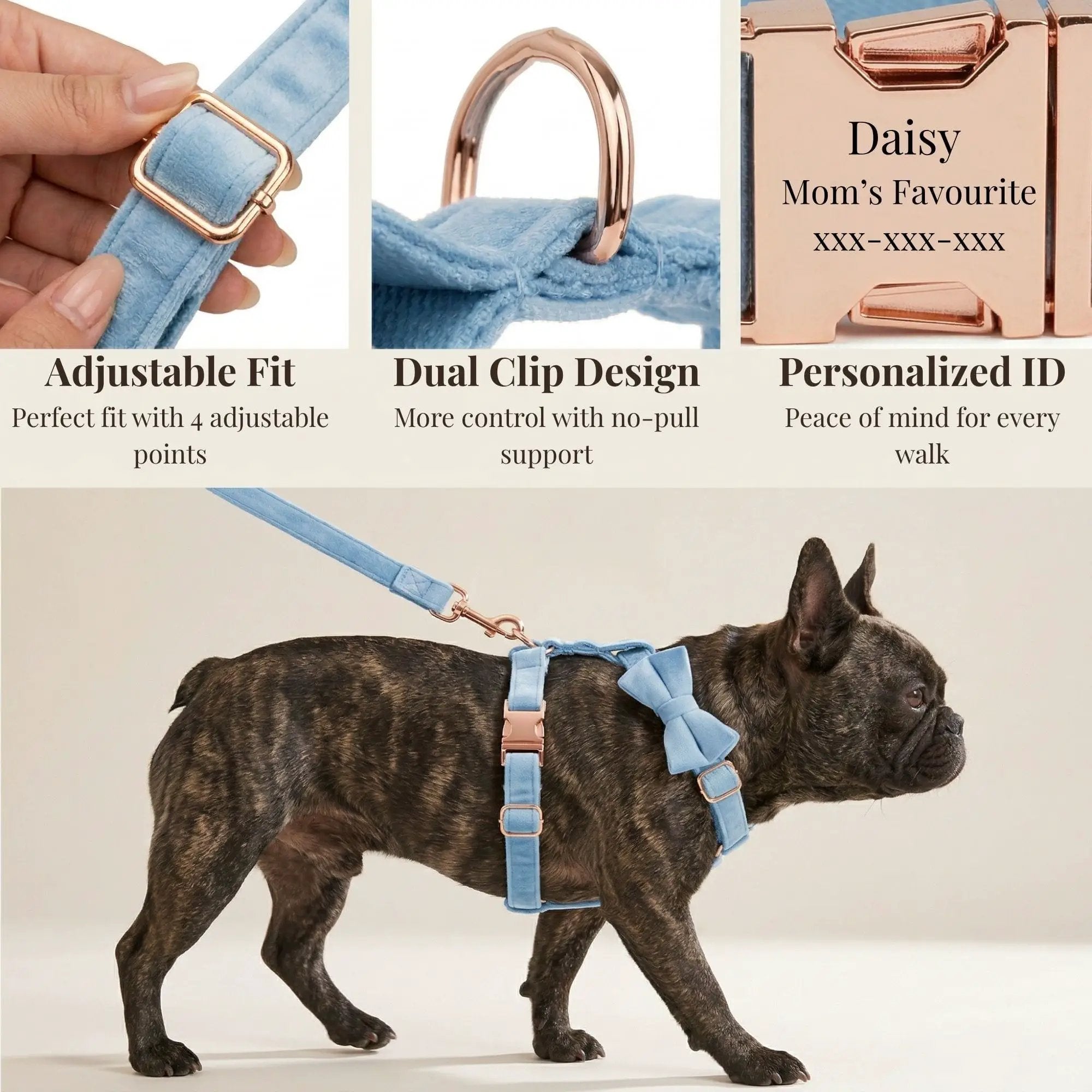 Luxury Blue Velvet Custom Dog Harness Set No Pull Sleek Hardware by DDPaws