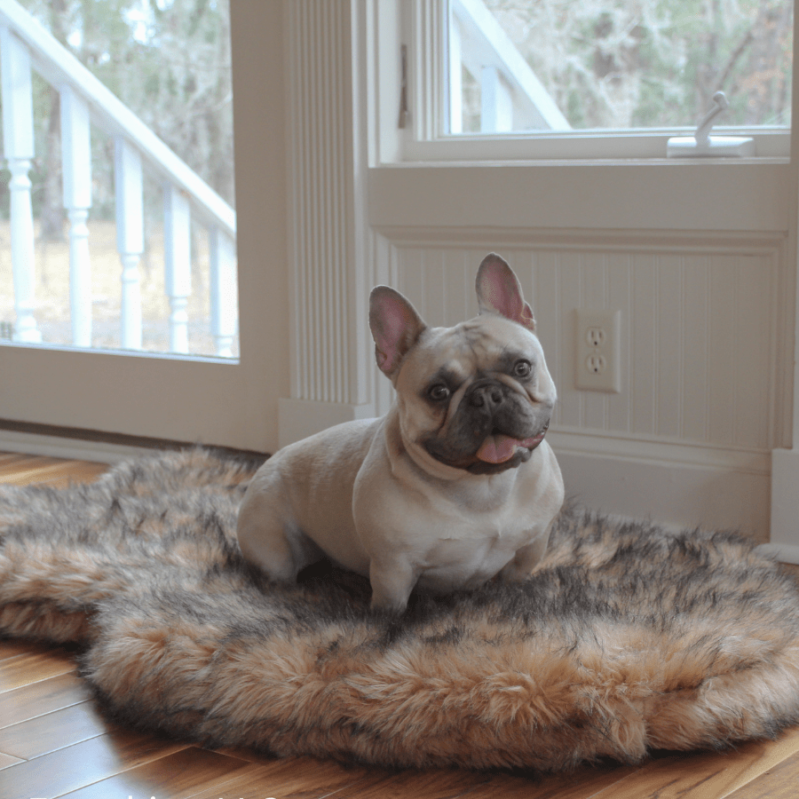 Paw.com PupRug Faux Fur Orthopedic Dog Bed, Curve Sable Tan