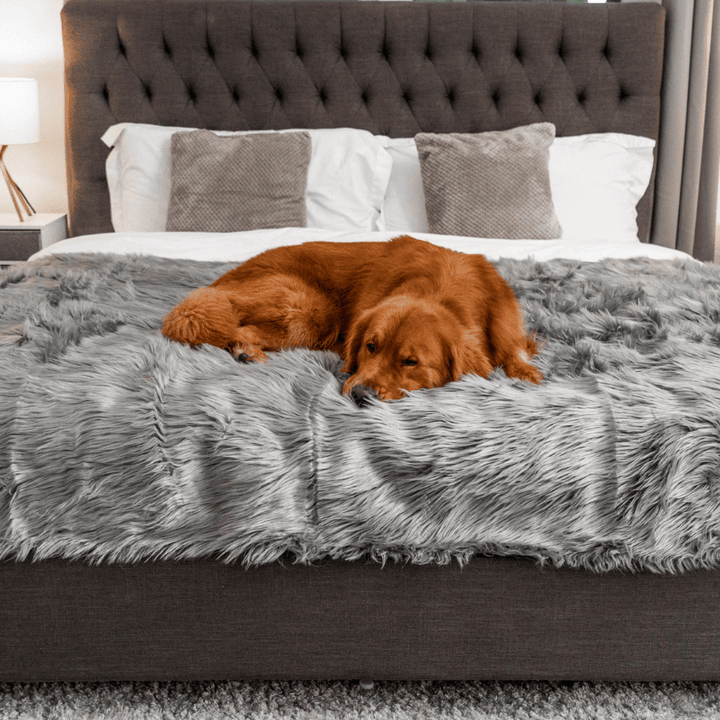 Paw.com PupProtector Waterproof Throw Blanket, Charcoal Grey