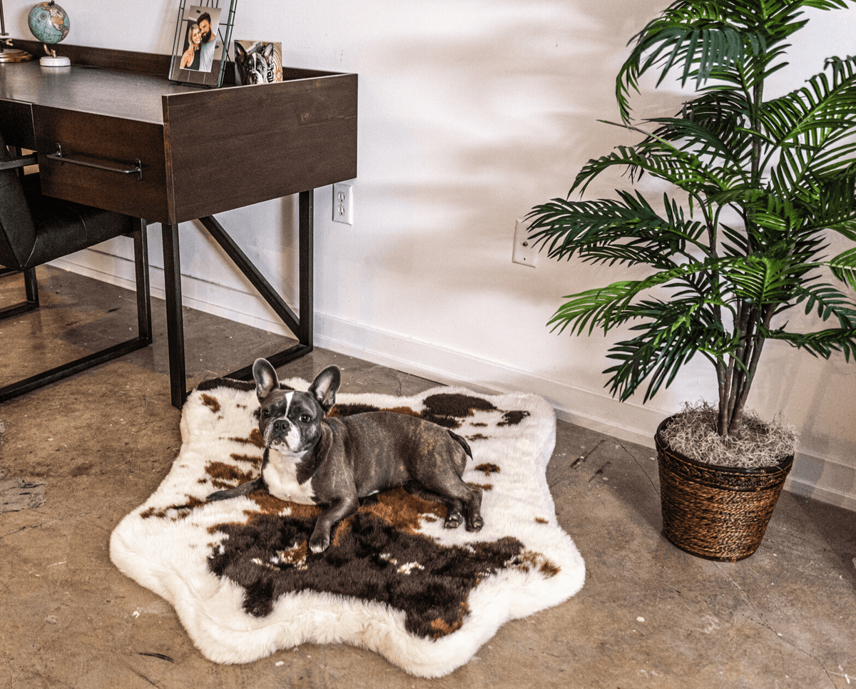 PupRug Animal Print Memory Foam Dog Bed in brown faux cowhide.