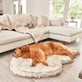 Load image into Gallery viewer, PupRug by Paw.com Faux Fur Orthopedic Dog Bed - Curve White with Brown Accents; round fluffy bed with two dogs resting.
