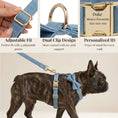 Load image into Gallery viewer, Luxury Blue Denim Dog Harness Leash Bow Tie Set Personalized Buckle by DDPaws
