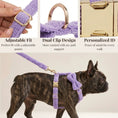 Load image into Gallery viewer, Teddy Purple Personalized No Pull Dog Harness Set With Matching Leash by DDPaws
