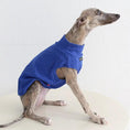 Load image into Gallery viewer, Whippet & Greyhound Spring Vest by SOCKPET; blue knit dog costume for pets.
