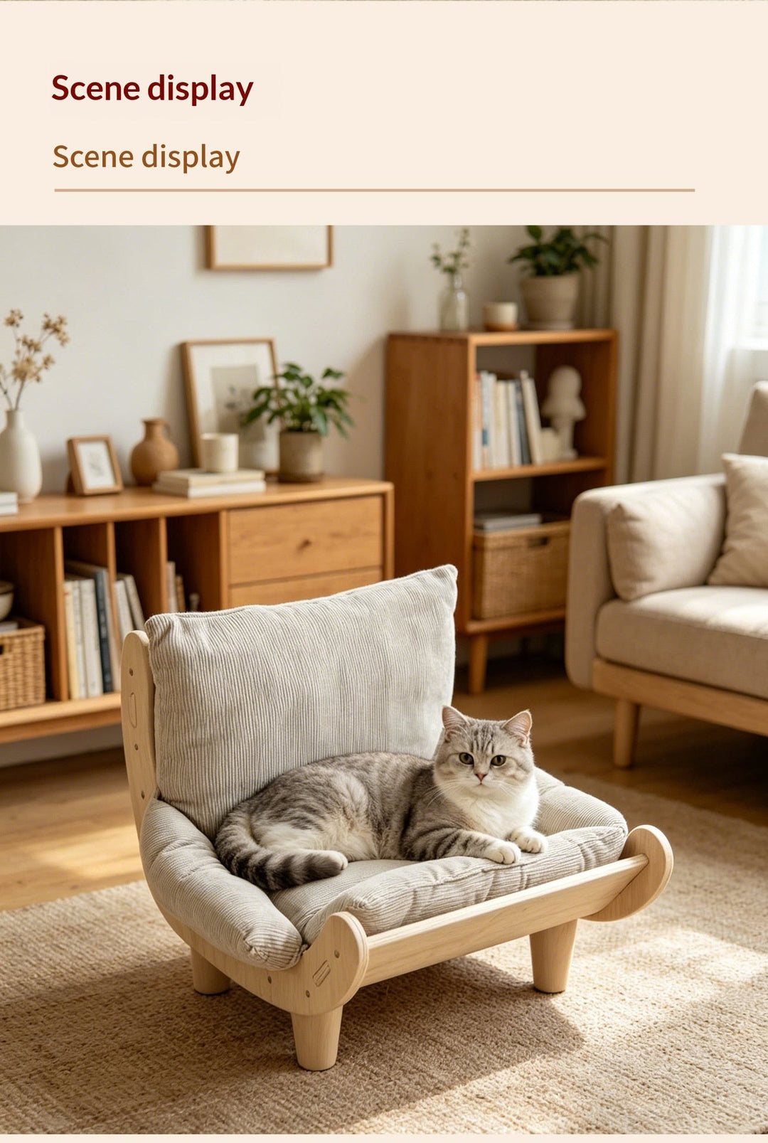 Cat reclining in beige wood-frame chair