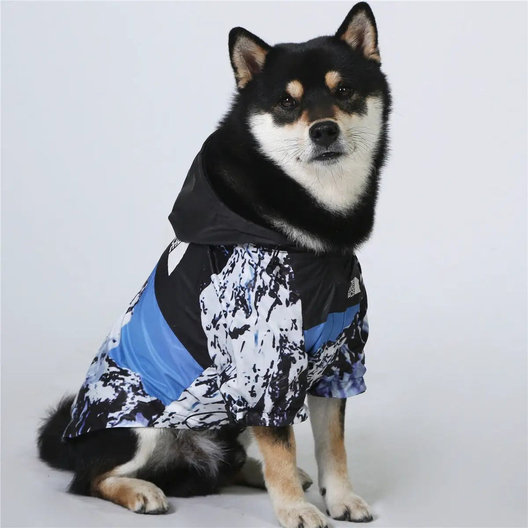 Windproof And Rainproof Dog Clothes Large Dog Raincoat Dog Pet Shell Jacket on a black and white dog.