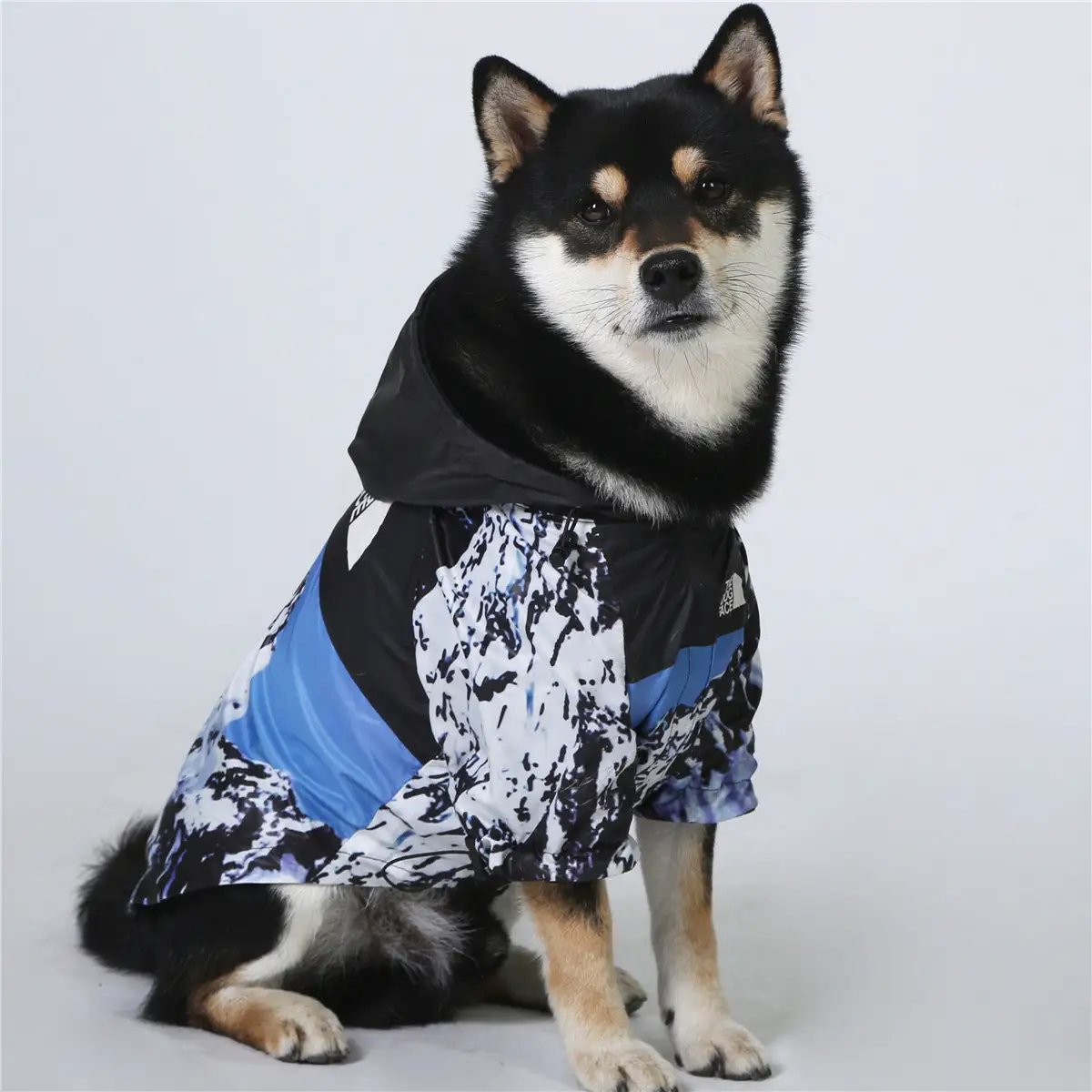 Windproof And Rainproof Dog Clothes Large Dog Raincoat Dog Pet Shell Jacket on a black and white dog.