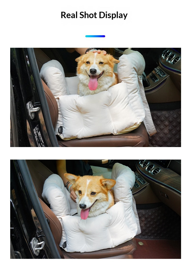 Dog sitting in padded car seat bed