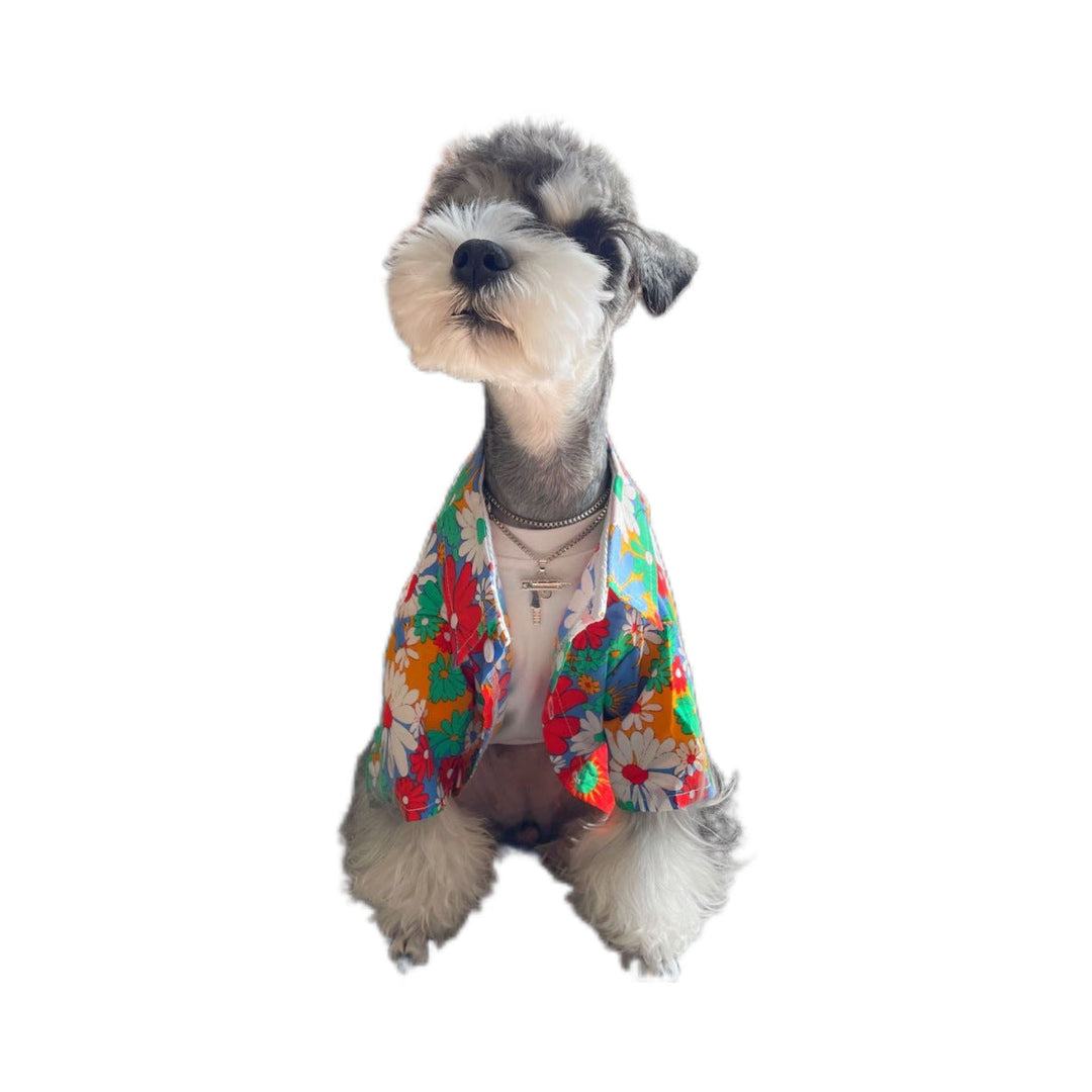 Dog modeling bright floral shirt on white background