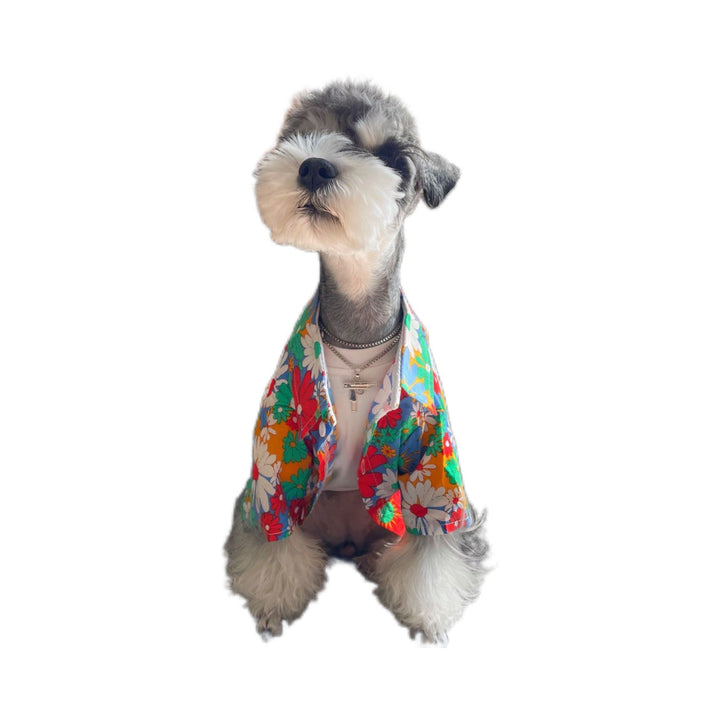 Dog modeling bright floral shirt on white background