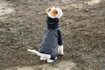 Load image into Gallery viewer, Spring Dog Rainproof Jacket by SOCKPET; gray waterproof pet rain coat
