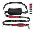 Carica l'immagine nel visualizzatore della galleria, Cross-Border Pet Running Waist Bag With Leash by For Animals, With Love
