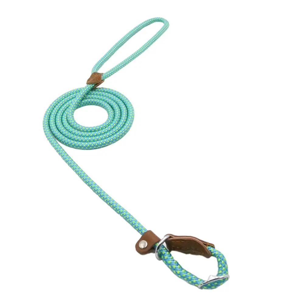 Nylon Pup Set Premium Leather Collar Leash Double Stitch Design by For Animals, With Love