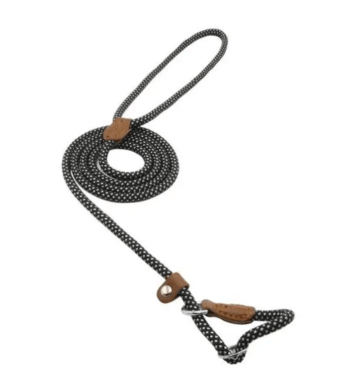 Nylon Pup Set Premium Leather Collar Leash Double Stitch Design by For Animals, With Love