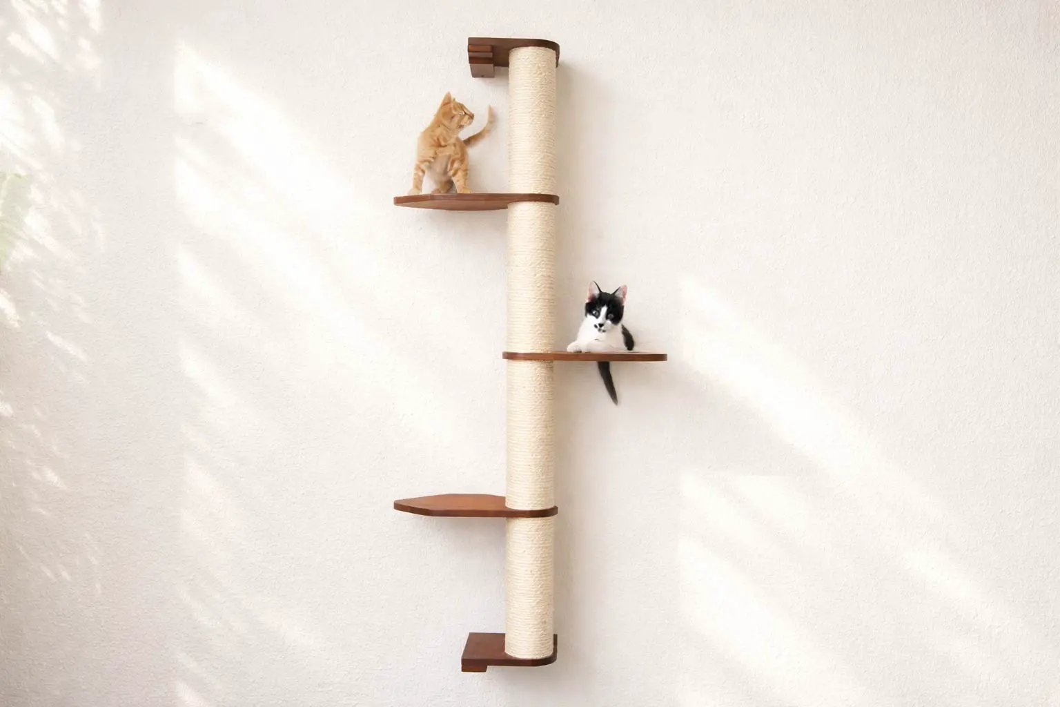 Wall Mounted Cat Climbing Pole - Sisal, tall sisal-wrapped pole with wooden platforms, two cats perched on shelves.