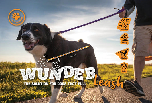 WUNDERleash – The Original No-Pull Dog Leash by WACKYstore