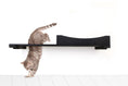 Load image into Gallery viewer, The Cat Nest Bed by Catastrophic Creations; black cat shelf/bed with curved back cushion
