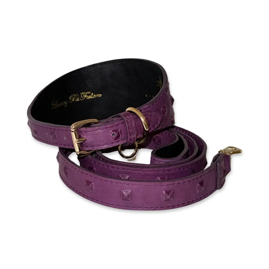 Collar and leash set in boysenberry embossed leather, 3-inch wide with gold hardware, Allysa Payne Beverly Hills