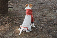 Load image into Gallery viewer, SOCKPET Spring Dog Rainproof Jacket, beige with red accents

