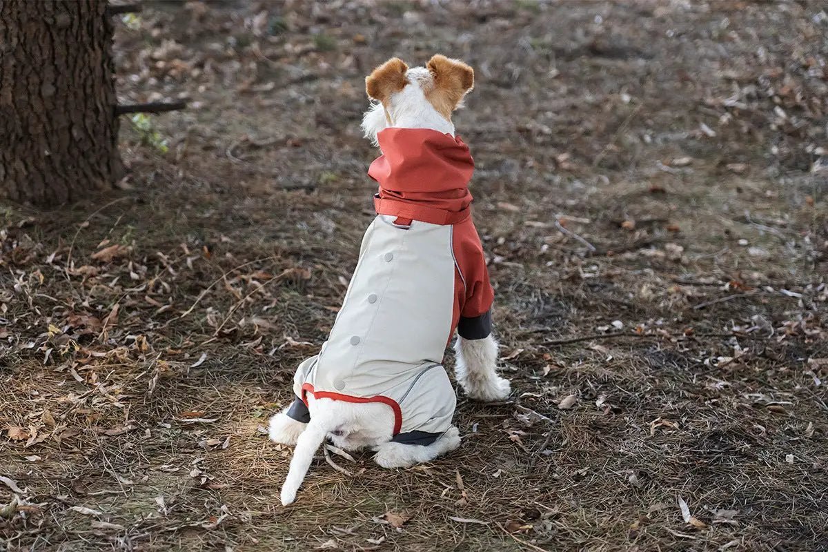 SOCKPET Spring Dog Rainproof Jacket, beige with red accents