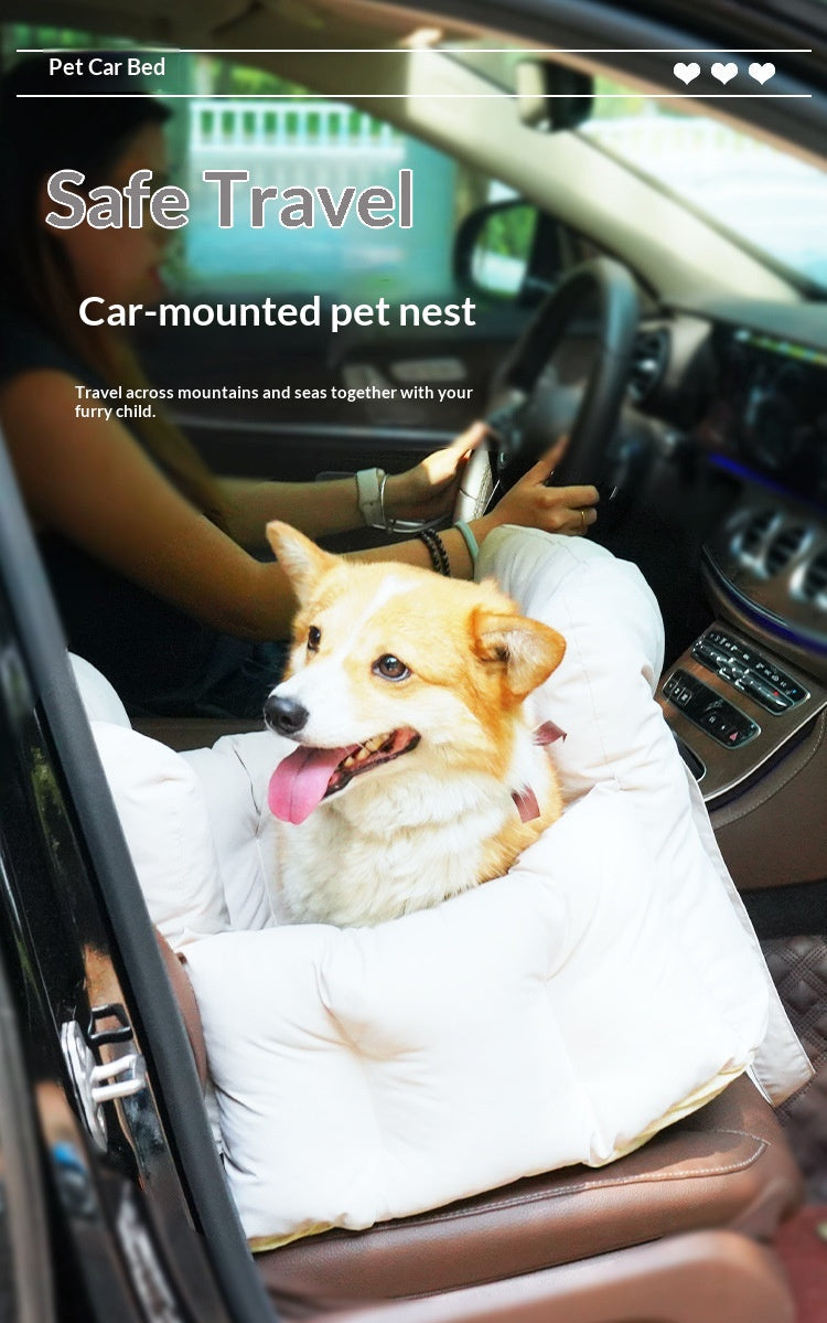 Supplier travel graphic with dog in seat bed
